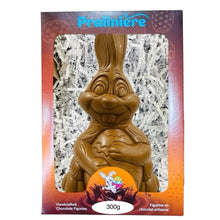 Charger l'image dans la galerie, Figurines en chocolat de Pâques, très grand format