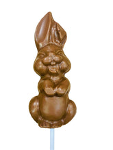 Charger l&#39;image dans la galerie, Suçon en chocolat en forme de lapin pour Pâques